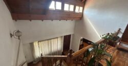 Tiglio 386 , Burzaco