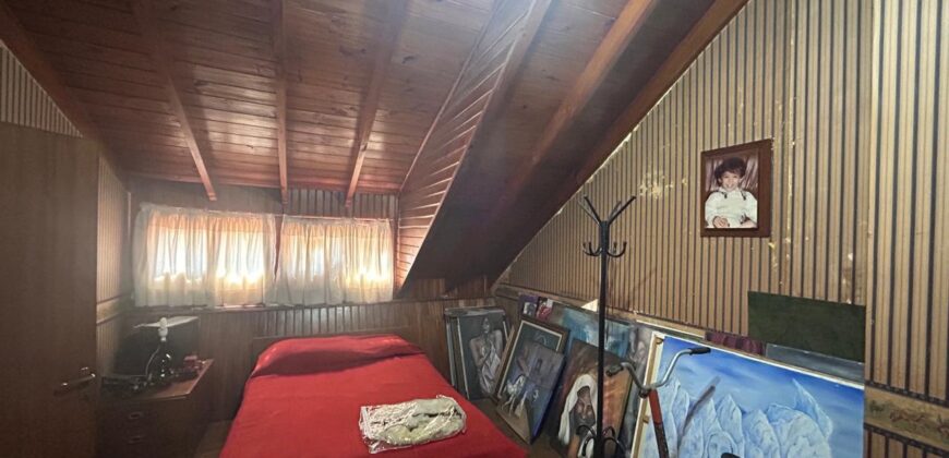 Tiglio 386 , Burzaco