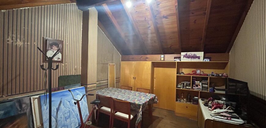 Tiglio 386 , Burzaco