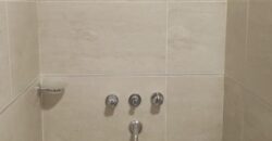 2 NAVES INDUSTRALES Parque Burzaco, ORTIZ 2434