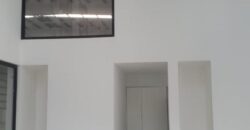 2 NAVES INDUSTRALES Parque Burzaco, ORTIZ 2434