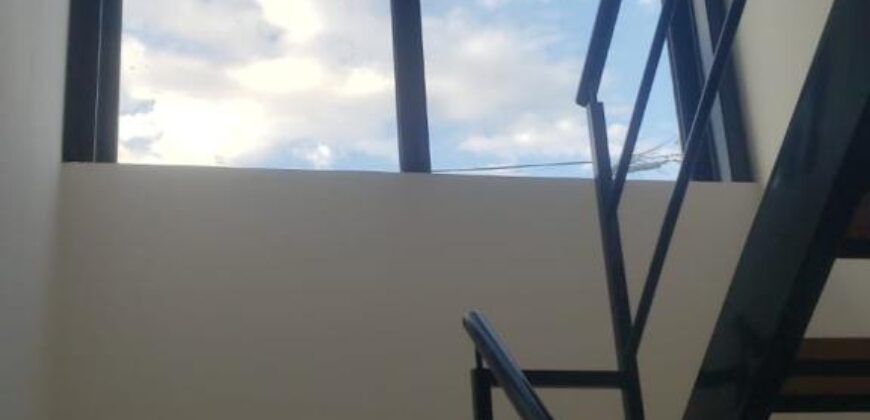 2 NAVES INDUSTRALES Parque Burzaco, ORTIZ 2434