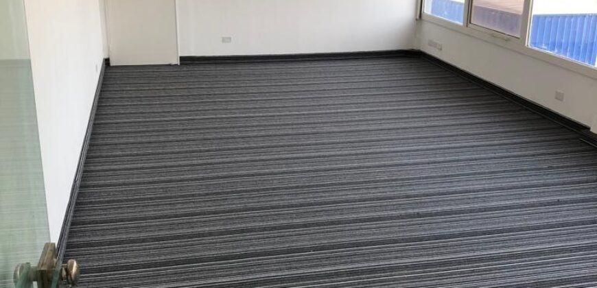 2 NAVES INDUSTRALES Parque Burzaco, ORTIZ 2434