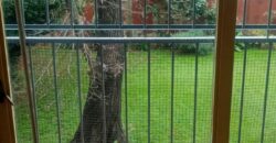 Laprida 991 EP GRAN OPORTUNIDAD!!! , Lomas de Zamora