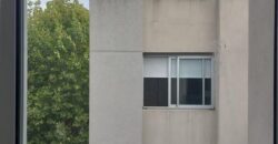 Gascon 450, Banfield