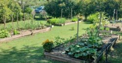 FINCAS DE SAN VICENTE CHACRAS 1