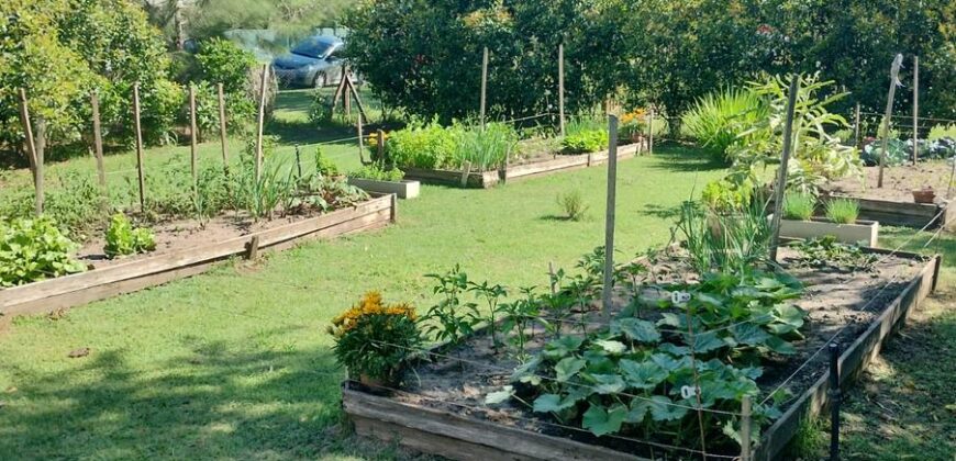 FINCAS DE SAN VICENTE CHACRAS 1