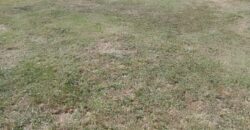 Terreno , GRAN OPORTUNIDAD !! , Spegazzini