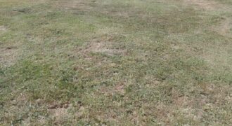 Terreno , GRAN OPORTUNIDAD !! , Spegazzini