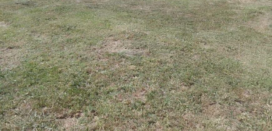 Terreno , GRAN OPORTUNIDAD !! , Spegazzini