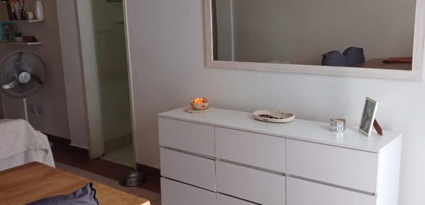 Diagonal brown  1479 , Adrogué