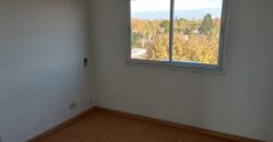 Gascon 450, Banfield