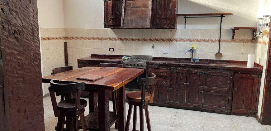 CARLOS PELLEGRINI  666 , Burzaco