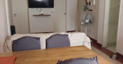 Diagonal brown  1479 , Adrogué