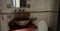 CARLOS PELLEGRINI  666 , Burzaco