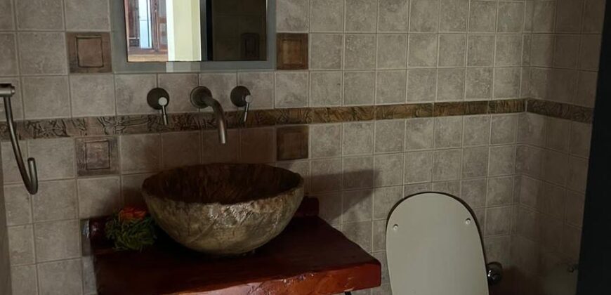 CARLOS PELLEGRINI  666 , Burzaco