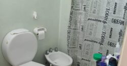 Diagonal brown  1479 , Adrogué