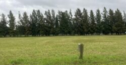 LOTE EN COUNTRY CLUB “EL PARAÍSO” GUERNICA