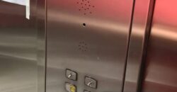 Alsina 1131 , Banfield