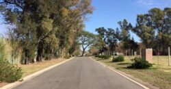 Gral. Miguel Soler 495, Adrogué