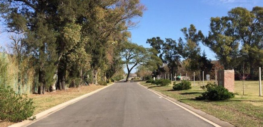 Gral. Miguel Soler 495, Adrogué