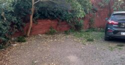 Diagonal brown  1479 , Adrogué