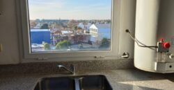 Gascon 450, Banfield