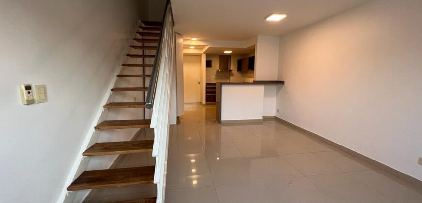 Croce 1334, Banfield