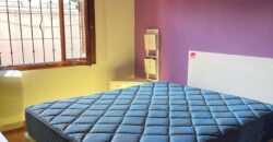 CARLOS PELLEGRINI  666 , Burzaco