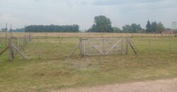 VENTA DE TERRENO EN SAN VICENTE