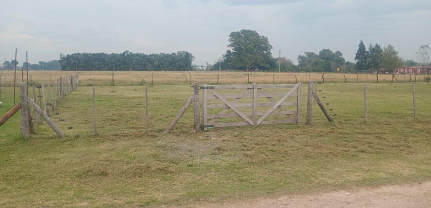 VENTA DE TERRENO EN SAN VICENTE