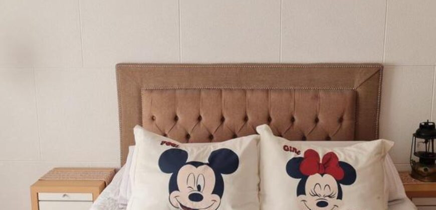 Seguí 729  , Adrogué