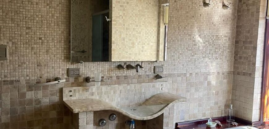 CARLOS PELLEGRINI  666 , Burzaco