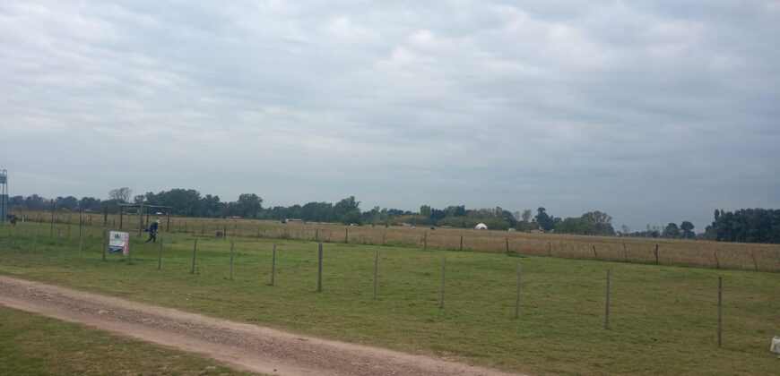 VENTA DE TERRENO EN SAN VICENTE