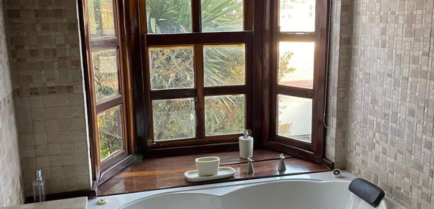 CARLOS PELLEGRINI  666 , Burzaco