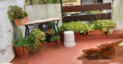 PELLEGRINI 426 , Adrogué