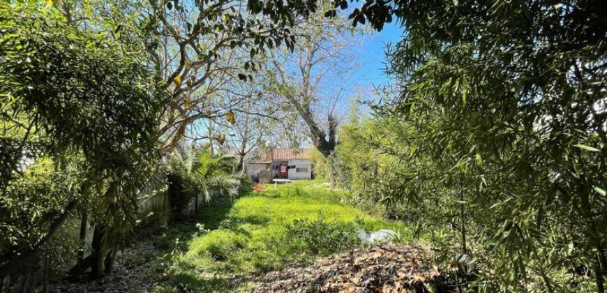 Jacinto calvo 1272  !!OPORTUNIDAD!!  LOTE AMPLIO