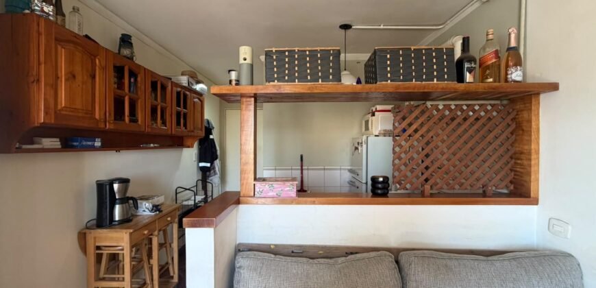 MITRE 954 PISO 3 Departamento B